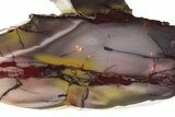 Polished Mookaite Jasper Slab - Australia #234806-1